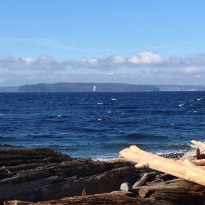 Lincoln Park Sailboat