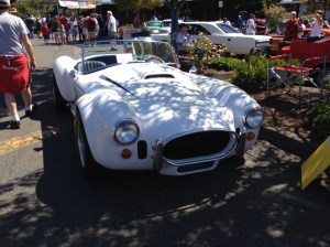 Cobra Kit Car