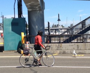 Local Gull Tries to Join Group