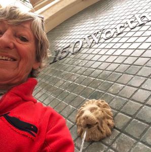 Water fountain on Worth Avenue in Palm Beach