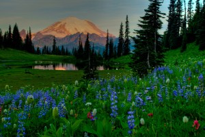 File photo, not a DAD iPhone picture