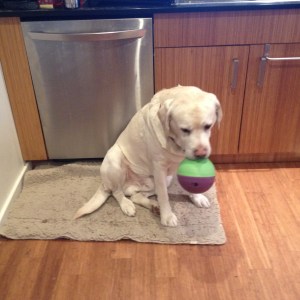 I'd Like a Refill Please