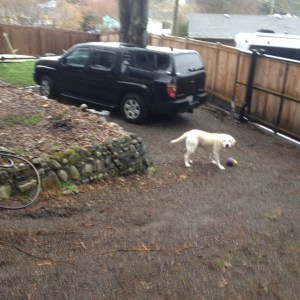 Rolling the Treat Bobber