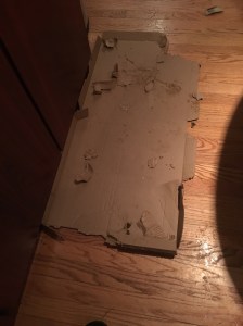 Not a trace of Grease or Cheese Left...